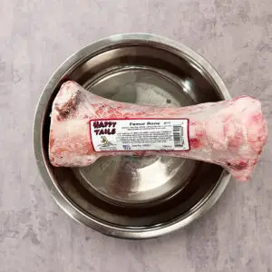 Raw Femur Bone